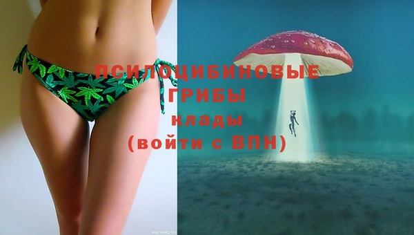 не бодяженный Алексин