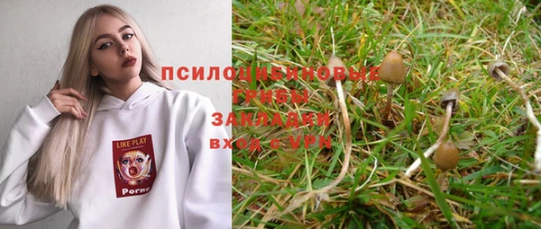 ГАЛЛЮЦИНОГЕННЫЕ ГРИБЫ Алзамай