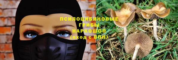 не бодяженный Алексин