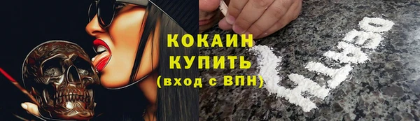 не бодяженный Алексин