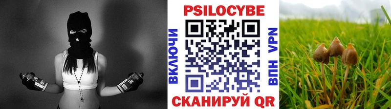 Галлюциногенные грибы прущие грибы Рубцовск