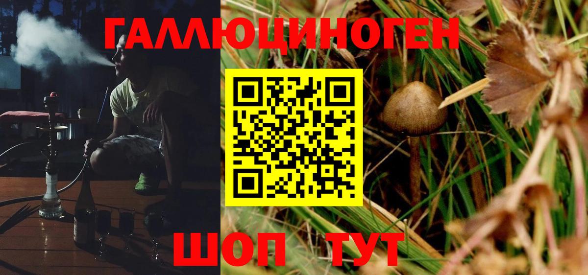купить наркотик  Вход с VPN  Рубцовск  Псилоцибиновые грибы GOLDEN TEACHER 