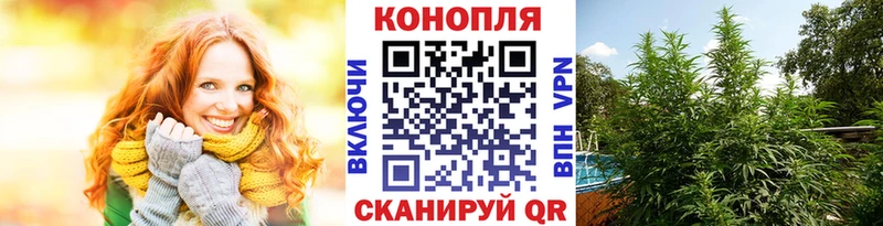 Бошки марихуана план  Рубцовск 